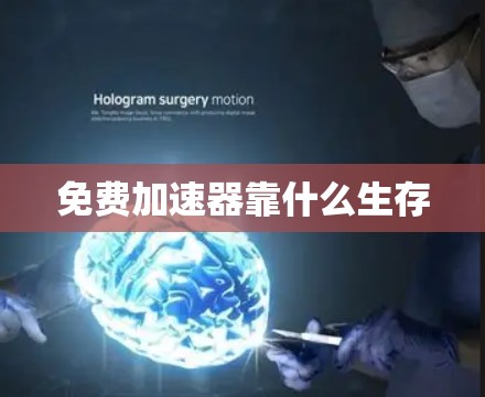 免费加速器靠什么生存