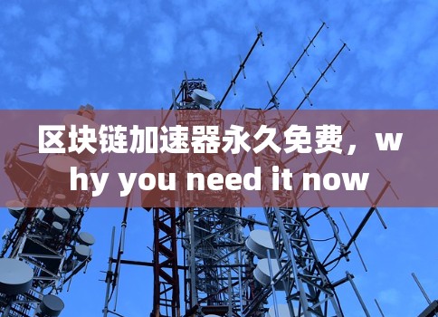 区块链加速器永久免费，why you need it now