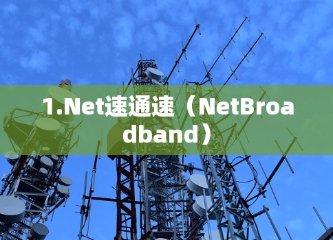1.Net速通速(NetBroadband)