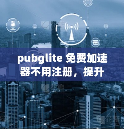 pubglite 免费加速器不用注册，提升网络效率的好选择