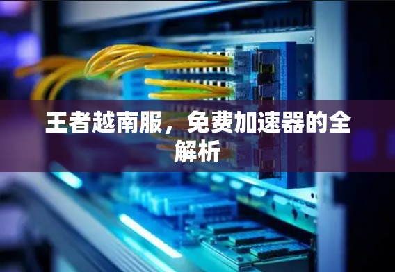 王者越南服,免费加速器的全解析