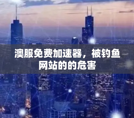 澳服免费加速器，被钓鱼网站的的危害