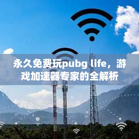 永久免费玩pubg life，游戏加速器专家的全解析
