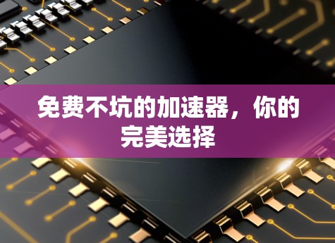 免费不坑的加速器，你的完美选择