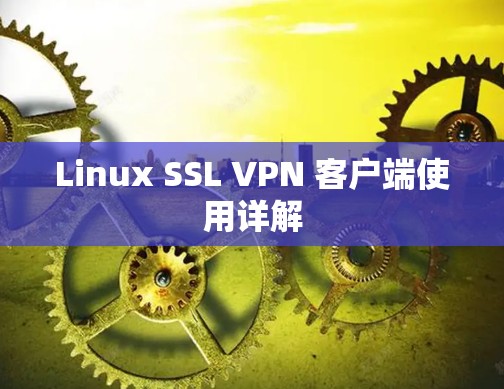 Linux SSL VPN 客户端使用详解