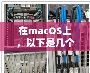 在macOS上，以下是几个免费的VPN选项，每个选项都有其特点和适用场景