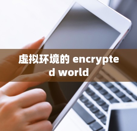 虚拟环境的 encrypted world 虚拟环境的 encrypted world