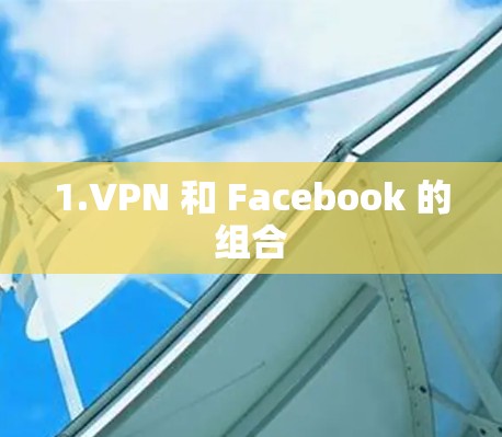 1.VPN 和 Facebook 的组合