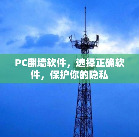 PC翻墙软件,选择正确软件,保护你的隐私 PC翻墙软件,选择正确软件,保护你的隐私