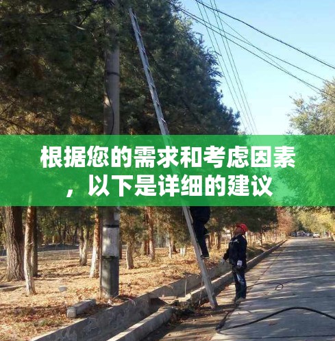 根据您的需求和考虑因素，以下是详细的建议