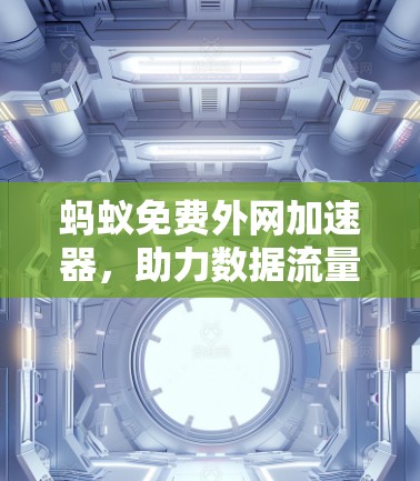 蚂蚁免费外网加速器，助力数据流量高效管理