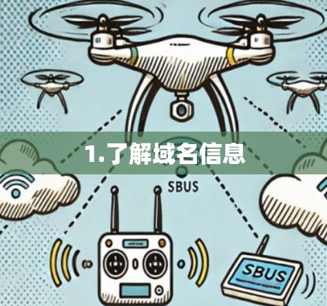 1.了解域名信息