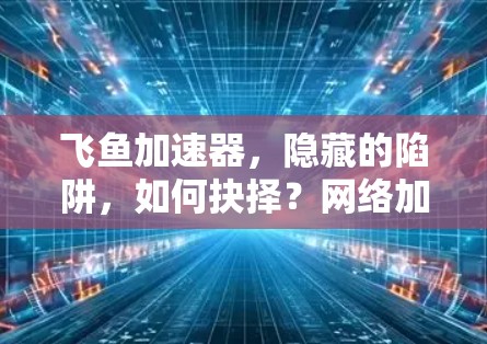 飞鱼加速器，隐藏的陷阱，如何抉择？网络加速服务的详细分析