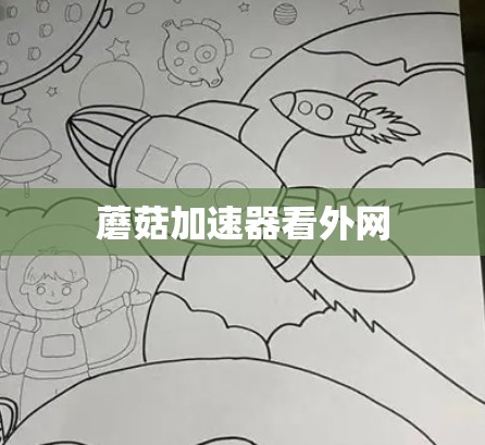 蘑菇加速器看外网