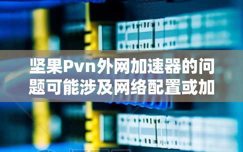 坚果Pvn外网加速器的问题可能涉及网络配置或加速功能的兼容性。以下是一些可能的解决步骤