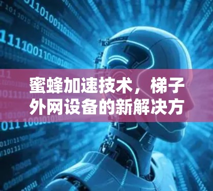 蜜蜂加速技术，梯子外网设备的新解决方案