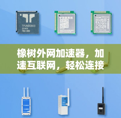 橡树外网加速器,加速互联网,轻松连接,助力生活新范式 橡树外网加速器,加速互联网,轻松连接,助力生活新范式