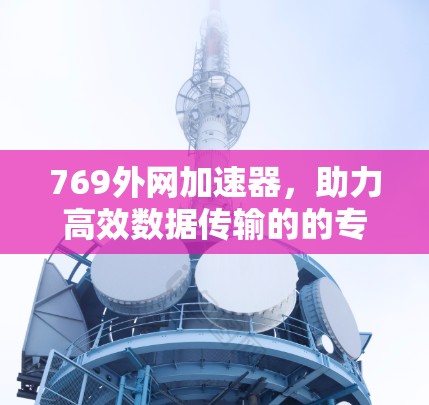 769外网加速器，助力高效数据传输的的专业解决方案