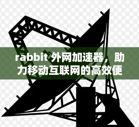 rabbit 外网加速器，助力移动互联网的高效便捷