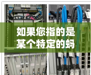 如果您指的是某个特定的蚂蚁网络加速器或蚂蚁网络工具，那么可能需要更多的上下文信息来提供准确的解释
