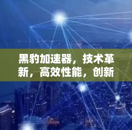 黑豹加速器,技术革新,高效性能,创新应用 黑豹加速器,技术革新,高效性能,创新应用