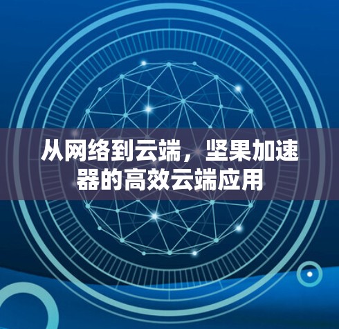 从网络到云端,坚果加速器的高效云端应用 从网络到云端,坚果加速器的高效云端应用
