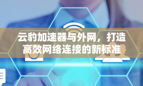 云豹加速器与外网，打造高效网络连接的新标准
