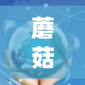 蘑菇外网加速器，技术革新，用户体验提升