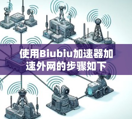 使用Biubiu加速器加速外网的步骤如下