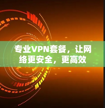 专业VPN套餐,让网络更安全,更高效 专业VPN套餐,让网络更安全,更高效