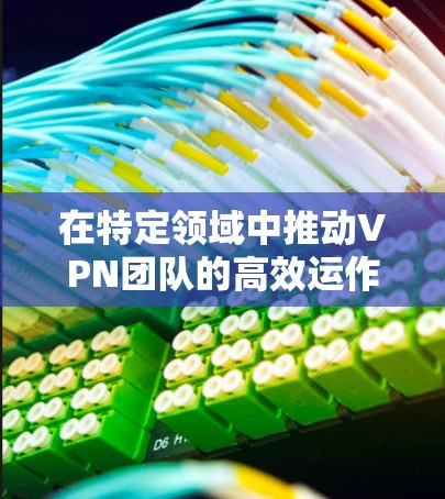 在特定领域中推动VPN团队的高效运作 在特定领域中推动VPN团队的高效运作