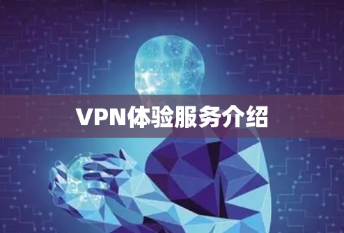 VPN体验服务介绍 VPN体验服务介绍