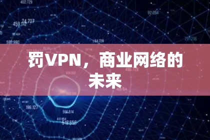 罚VPN，商业网络的未来