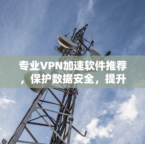 专业VPN加速软件推荐，保护数据安全，提升网络体验
