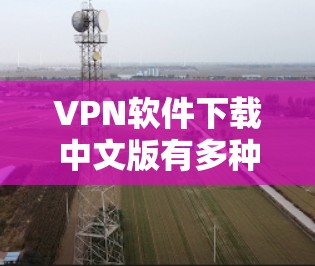 VPN软件下载中文版有多种选择，以下是几种常见的软件及其使用方法