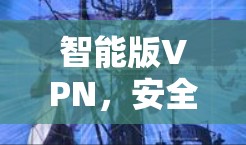 智能版VPN,安全第一,保护你的网络 智能版VPN,安全第一,保护你的网络