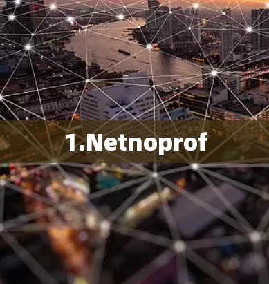 1.Netnoprof