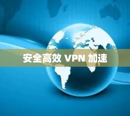 安全高效 VPN 加速