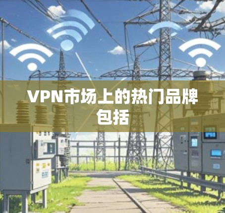 VPN市场上的热门品牌包括