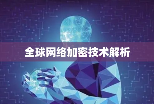 全球网络加密技术解析 全球网络加密技术解析