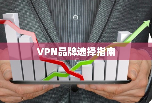 VPN品牌选择指南