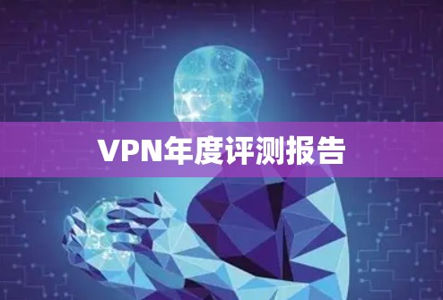 VPN年度评测报告