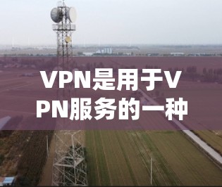 VPN是用于VPN服务的一种方式，用于寻找和使用VPN网络。以下是VPN免费专业版入口的几种常见方式