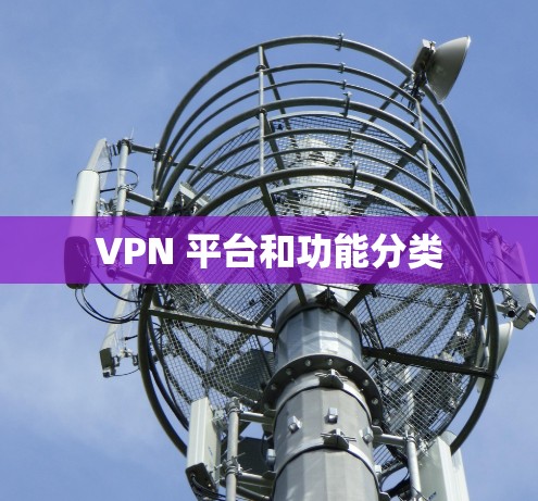 VPN 平台和功能分类 VPN 平台和功能分类