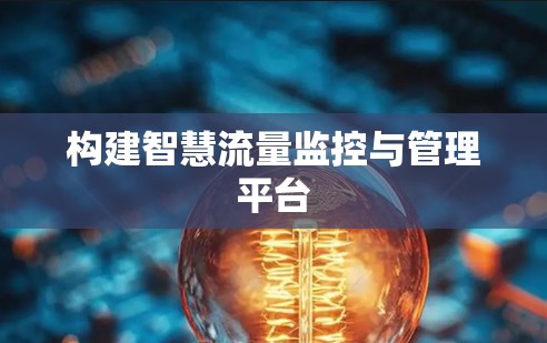 构建智慧流量监控与管理平台