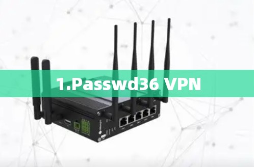 1.Passwd36 VPN