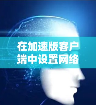 在加速版客户端中设置网络优先级