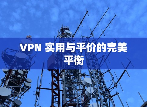 VPN 实用与平价的完美平衡