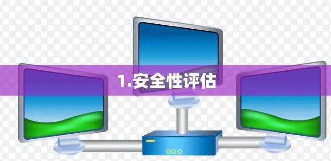 1.安全性评估