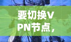 要切换VPN节点，您可以按照以下步骤操作